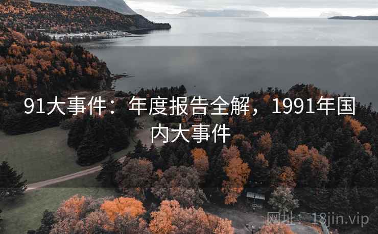 91大事件：年度报告全解，1991年国内大事件