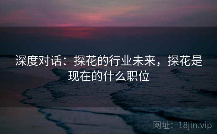 深度对话：探花的行业未来，探花是现在的什么职位