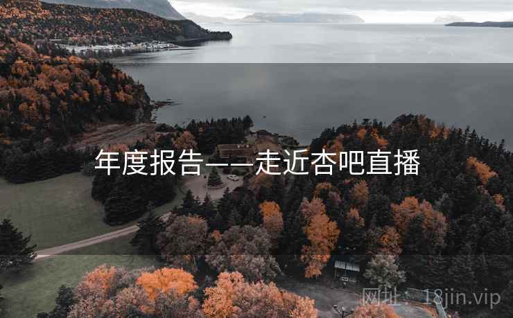 年度报告——走近杏吧直播