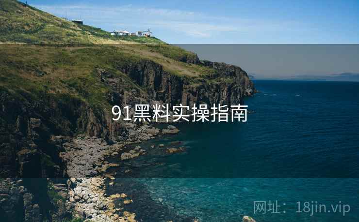 91黑料实操指南
