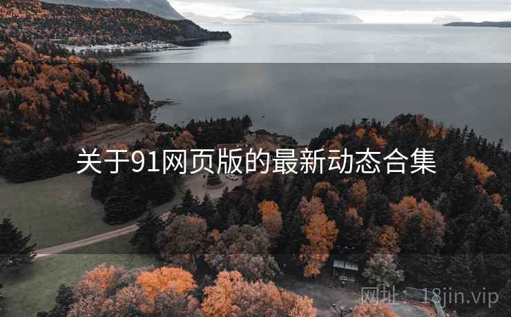 关于91网页版的最新动态合集