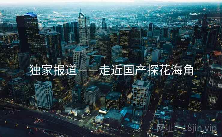 独家报道——走近国产探花海角