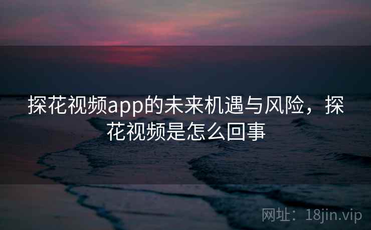 探花视频app的未来机遇与风险，探花视频是怎么回事
