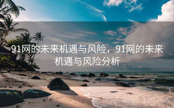 91网的未来机遇与风险，91网的未来机遇与风险分析