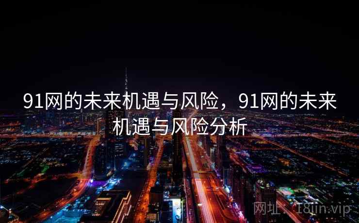 91网的未来机遇与风险，91网的未来机遇与风险分析