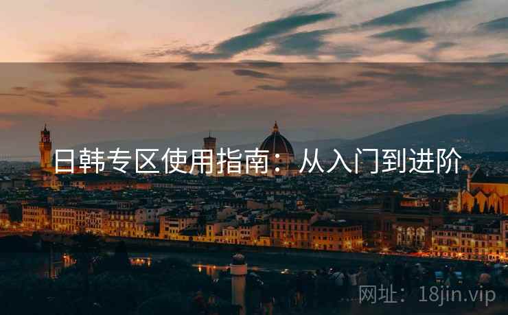 日韩专区使用指南：从入门到进阶
