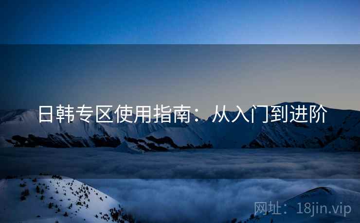 日韩专区使用指南：从入门到进阶