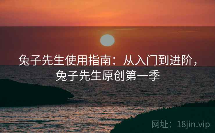 兔子先生使用指南：从入门到进阶，兔子先生原创第一季