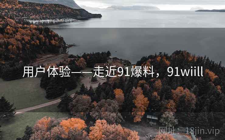 用户体验——走近91爆料，91wiill