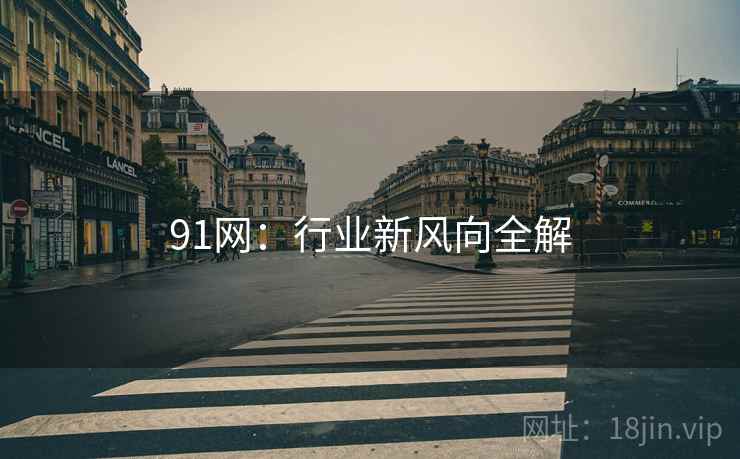 91网：行业新风向全解