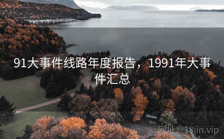 91大事件线路年度报告，1991年大事件汇总