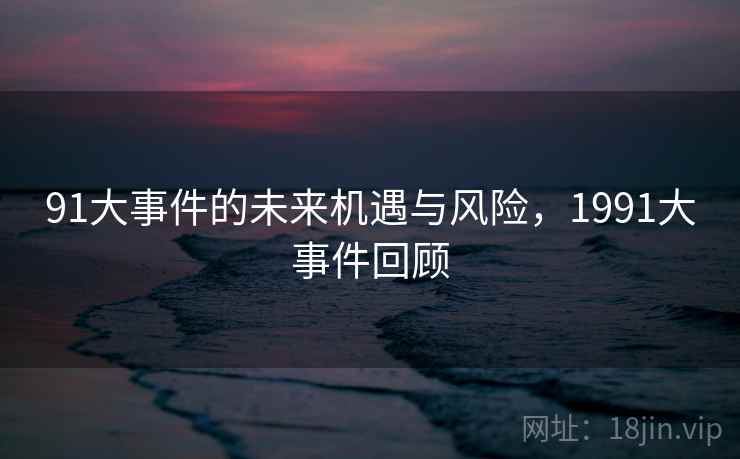 91大事件的未来机遇与风险，1991大事件回顾