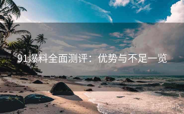 91爆料全面测评：优势与不足一览