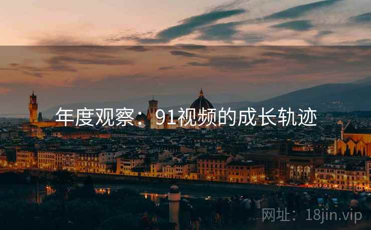 年度观察：91视频的成长轨迹
