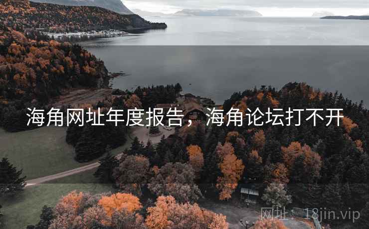海角网址年度报告，海角论坛打不开