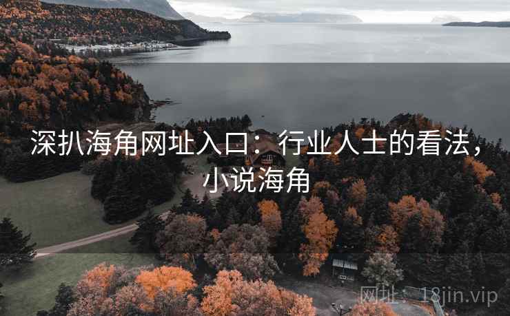 深扒海角网址入口：行业人士的看法，小说海角