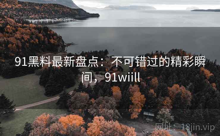 91黑料最新盘点：不可错过的精彩瞬间，91wiill