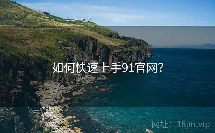 如何快速上手91官网？