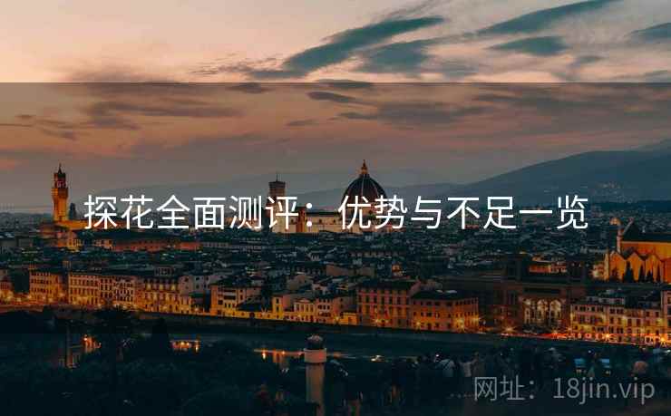 探花全面测评：优势与不足一览
