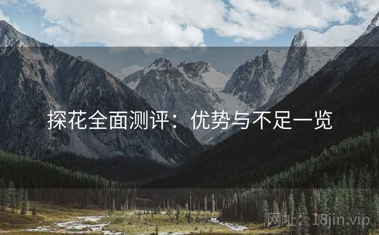 探花全面测评：优势与不足一览