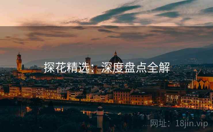 探花精选：深度盘点全解
