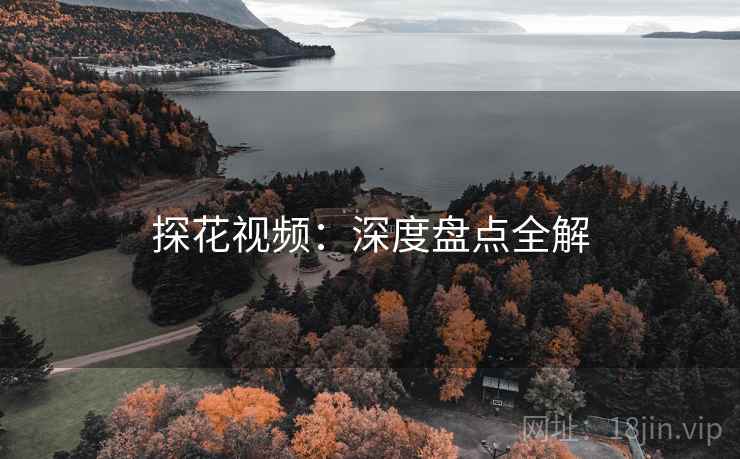 探花视频:深度盘点全解 探花视频:深度盘点全解