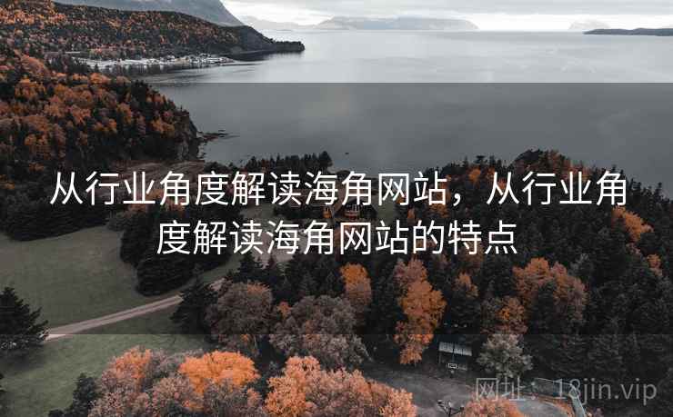 从行业角度解读海角网站，从行业角度解读海角网站的特点