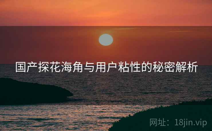 国产探花海角与用户粘性的秘密解析