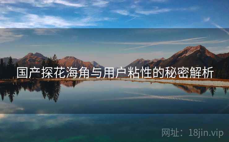 国产探花海角与用户粘性的秘密解析
