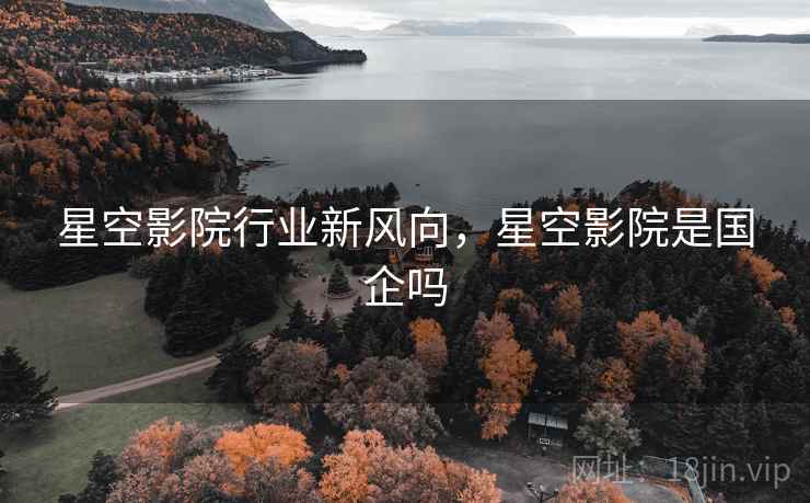 星空影院行业新风向，星空影院是国企吗