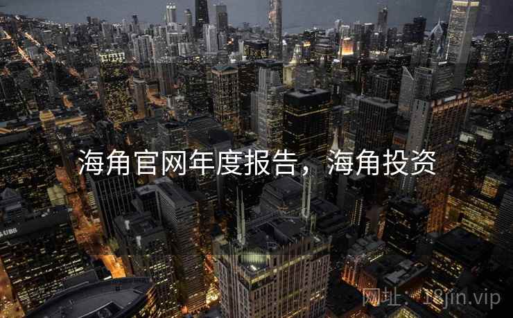 海角官网年度报告，海角投资