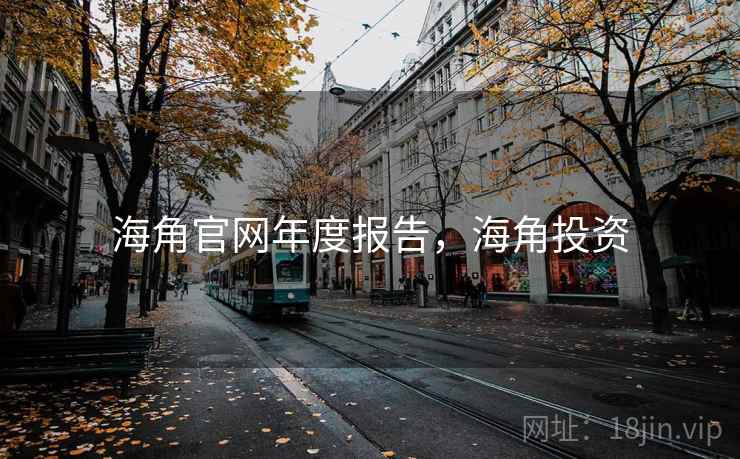 海角官网年度报告，海角投资