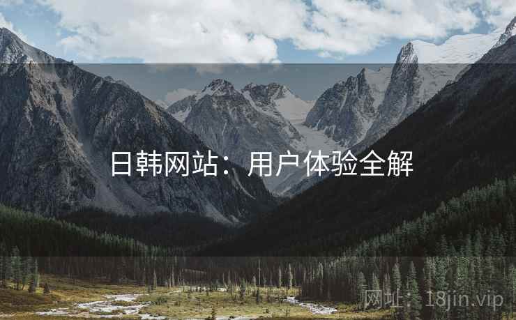 日韩网站：用户体验全解