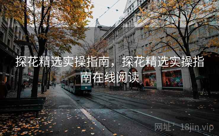 探花精选实操指南，探花精选实操指南在线阅读
