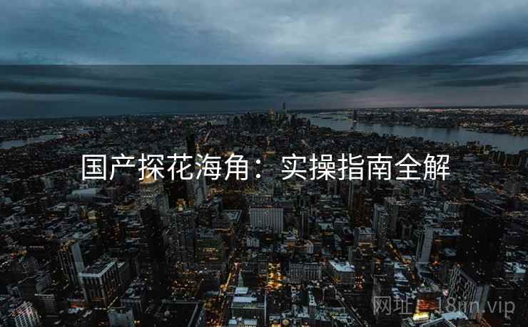 国产探花海角:实操指南全解 国产探花海角:实操指南全解