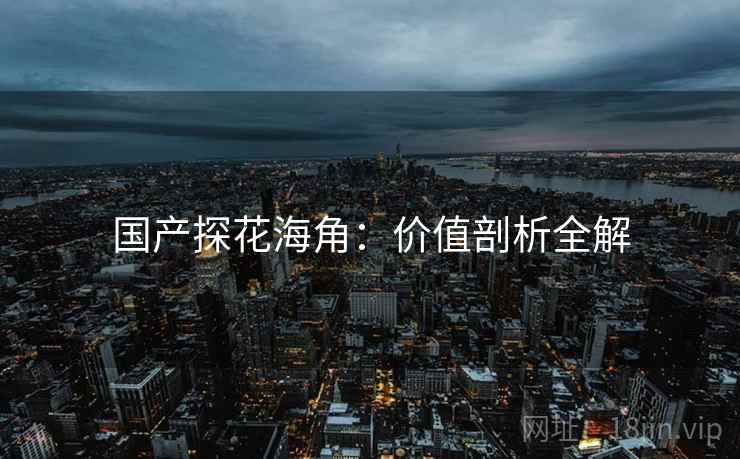 国产探花海角：价值剖析全解