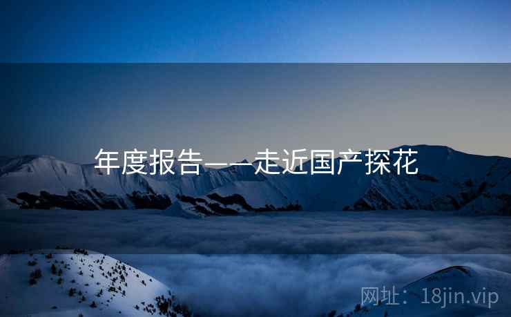 年度报告——走近国产探花