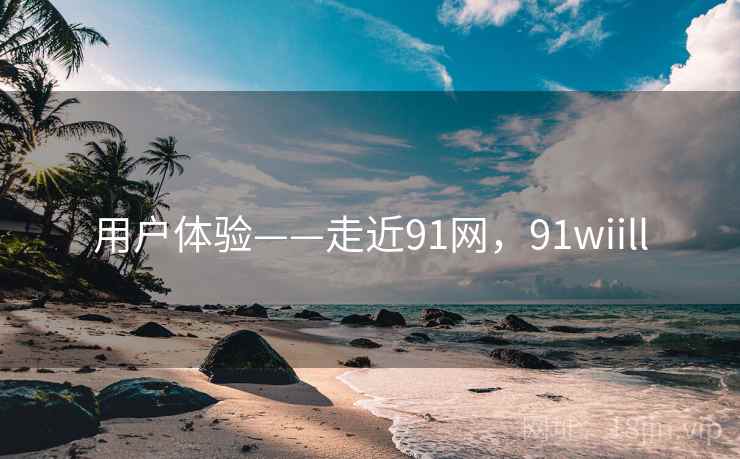 用户体验——走近91网，91wiill