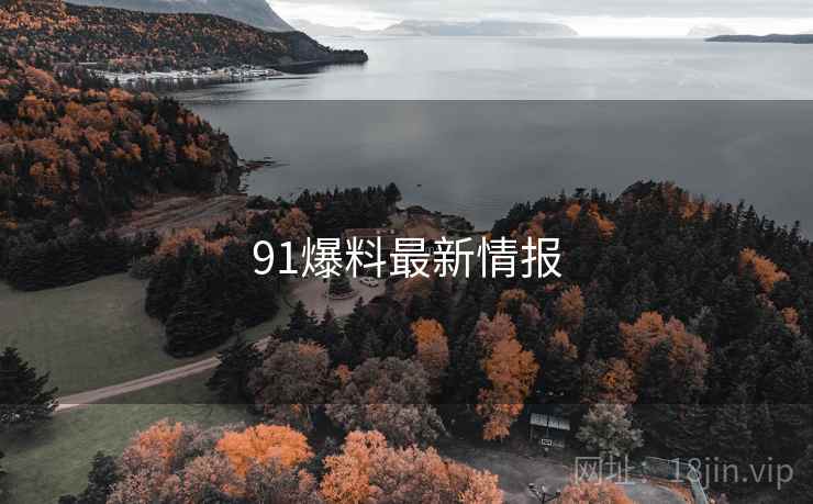 91爆料最新情报