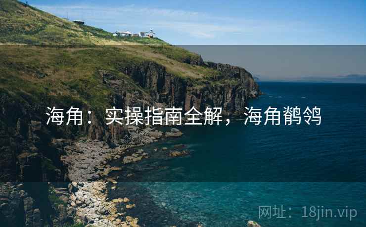 海角：实操指南全解，海角鹡鸰