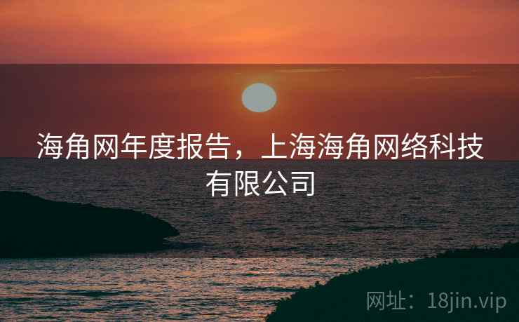 海角网年度报告，上海海角网络科技有限公司