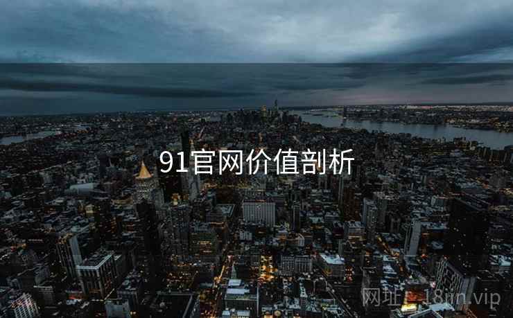 91官网价值剖析