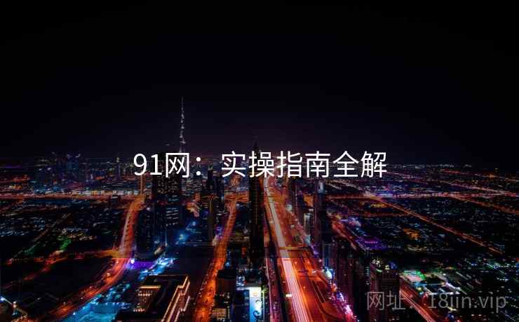 91网：实操指南全解
