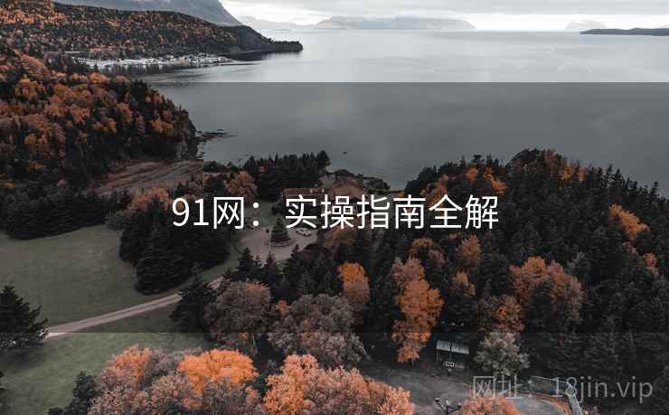 91网：实操指南全解